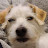 @TekNacho's avatar
