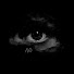 TI7HAo8djcA-channel-avatar-Night Paralysis