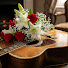 Ycb5ntCCUDI-channel-avatar-Harmony of Strings