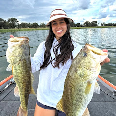 Syd Fish Stuff