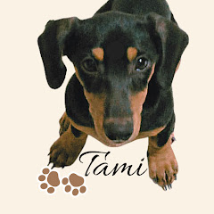 Tami' Channel