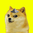 awX6DKlyBF8-channel-avatar-DOGECRAFT