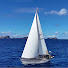 akBTPkqvxik-channel-avatar-Sailing Luka