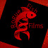 KRYP1IWPlgA-channel-avatar-Rogue Fish Films