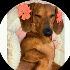 Pandora ASMR net worth