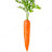 @carrot_2011