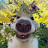 @Mr_mitochondria Avatar