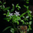 @SmithaAshokan-ev1hh