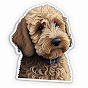 Mountain Creek Labradoodles logo