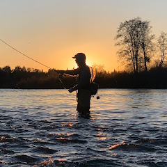 The Cal Fisher Avatar