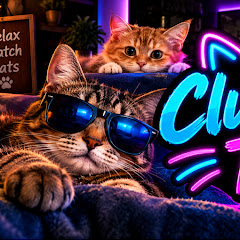 Club Cat Tv