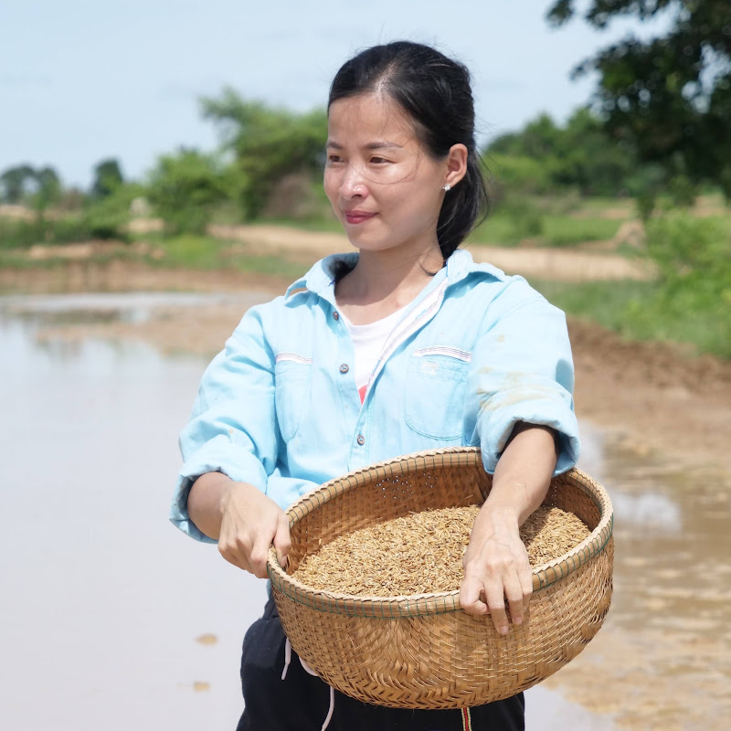 ស្រុកស្រែ Farm