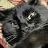 m5fEAR7HTU4-channel-avatar-Mivsan_NT