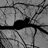 FtEOmq6UL8A-channel-avatar-Kitty