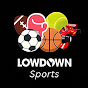 Lowdown Sports logo
