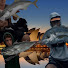 pDMuYk0T70E-channel-avatar-Tindall’s FISHING 