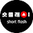 숏플래시