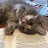 @Blueberries_12200