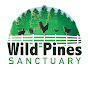 Wild Pines Sanctuary logo