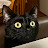 @ltmdf117 Avatar