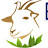 Einstein Scientific Goat Farming Training Center