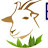 @einsteinscientificgoatfarm1522