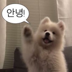메이비