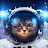 Space Cat