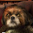 @83wishmaster's avatar