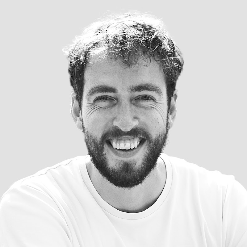 Antoine van der Lee Logo