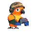 NWgJqjrzn1M-channel-avatar-Animal