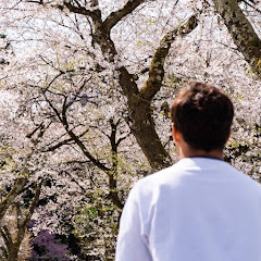 DRONE ENTERTAINMENT - Sakura Drone Projectアイコン画像