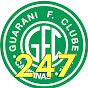 Guarani FC 247 - Notícias do Bugre logo