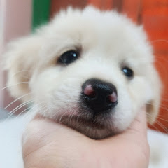 @Kawaii_cherry_2013😘💕