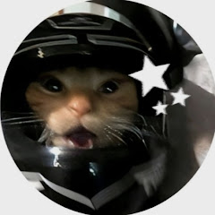 قـطـه صـلـعـه 