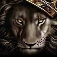 Babu bhai 44@ profile image