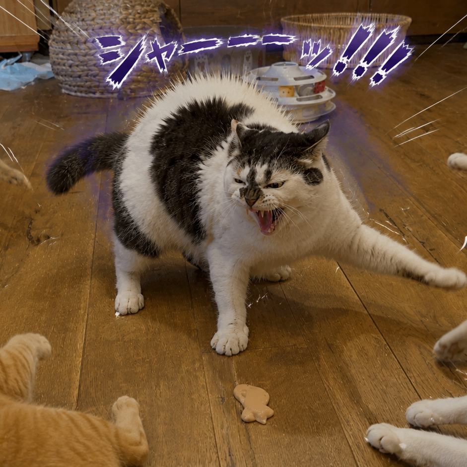 猫田です❣️ Post from 猫田さん - YouTube