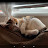 @LuckyP_12 Avatar