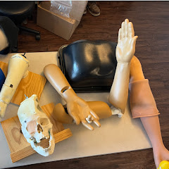 Joint Reduction Simulation Lab