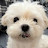 @이원영-w9r