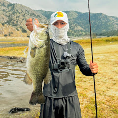 SeeOutdoorsAdv