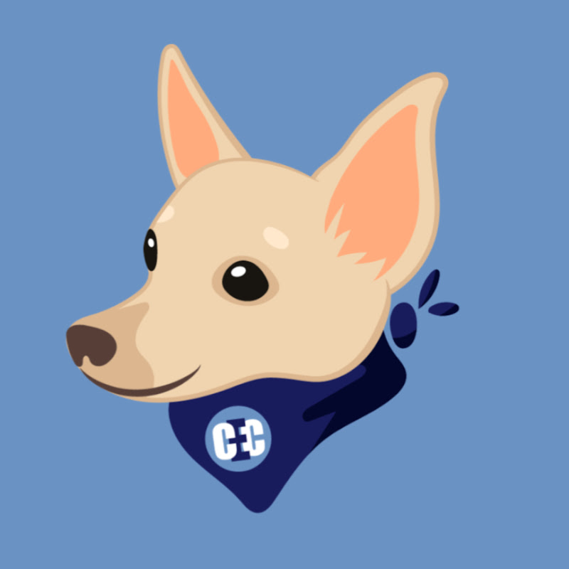 Custom Educational Content