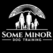 Some Minor Dog Training 