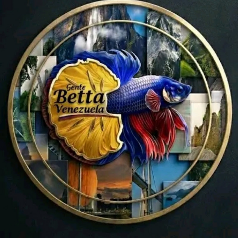 Gente Betta Venezuela Dorman