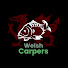 CVJRw3yOolI-channel-avatar-Welsh Carpers