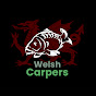 Welsh Carpers logo