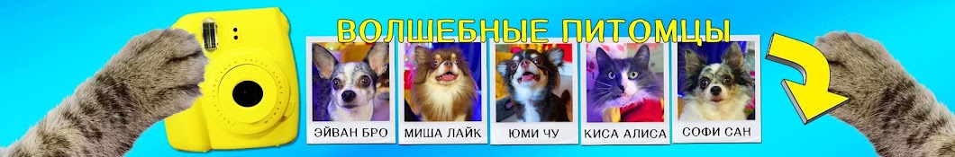 Magic Pets Аватар канала YouTube
