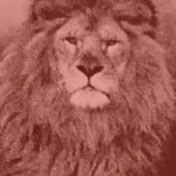 REAL LIFE EVENTS  CHANNEL 