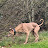 @Lancswilivers Avatar
