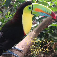 Naturaviva Explorer channel thumbnail